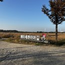 다인승 카트, 3륜구동차 등을 타며 액티비티를 즐길 수 있는 곳 ‘에일리언 바이크‘ 후기 및 준비물