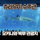 행복수족관 | 오키나와 가족여행 필수코스 츄라우미수족관 방문 후기