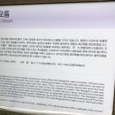 힐링오름 이미지