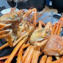 신기동78 이미지