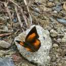 삼가가축병원 이미지