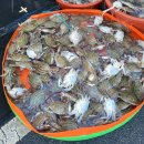 파도소리펜션 이미지