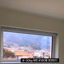 스테이루비 이미지