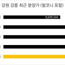 500062 이미지