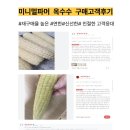 미니멀파머