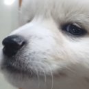 오산스타일 이미지