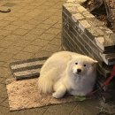누림축산 이미지