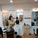 컷트박사
