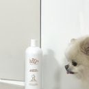 믿음 세탁 | [아르망 아기세탁세제] 무향이라 더욱 믿음이 가는 유아세탁세제 추천!