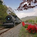 섬진강 기차마을 이미지