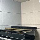 와이스튜디오(Y studio)