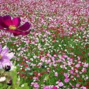 경희동가원한의원 이미지