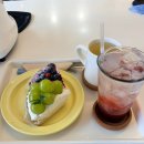 소금 | 대전 원신흥동 마마꿍 디저트 카페｜타르트·소금빵 후기 (대전 디저트 맛집)