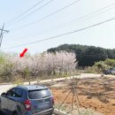 카펠라모텔 이미지