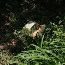 청평꼬꼬닭갈비 | 25.10.7~8 아침고요수목원 남이섬 자라섬