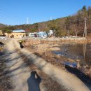 수막 목장 이미지