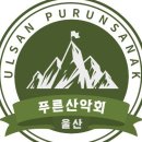 푸른산악회 돌고래여행사 28인승 리무진 버스 구매했습니다. 이미지