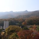 지엘3 이미지