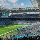 마이애미오렌지 이미지