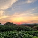 해넘이농장 이미지