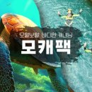 세친구투어