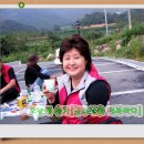 비송