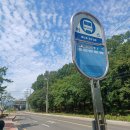 자인계정숲 이미지