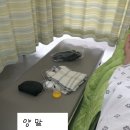 디씨메디칼 | 조혈모세포 기증 후기