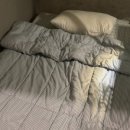 포데로사블루게스트하우스 이미지