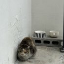 도천3길 이미지