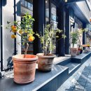 동양미래대학교 이미지