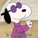 성정시장 이미지