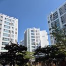 울산 약사 더샵 34평 미세방충망 교체 후기, 9년차 낡은 망과 모헤어까지 완벽 시공