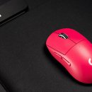 [뭐라도학교]사진과 함께하는 세계여행 이미지