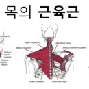 뒷골2로4 이미지