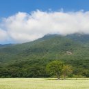 대재 | 2025 양산 통도사 메밀꽃 총정리｜실시간 개화·위치·주차·개산대재 미디어아트 일정까지