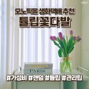 모노몰 | 모노픽몰 튤립꽃다발 후기 생화택배 추천, 관리 방법 꽃말 정리