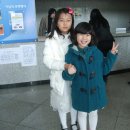 참조은세상 이미지