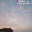 서해바다 이미지