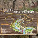 산림욕장 이미지