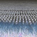 죽동마을 이미지