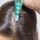 두피앰플 바오에이치랩 4주 사용 후기