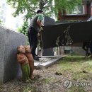 시민평화 공원5 이미지