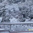 양업고등학교 이미지