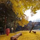 저도 콰이강의 다리 주변을 돌며 이미지