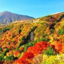 단풍