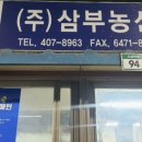 모범청과