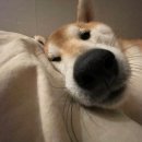 세란마취통증의학과의원 이미지