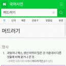 머드러기 이미지