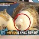 소라 이미지